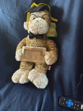 Sugar Loaf Graduation Bear
